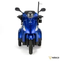 DRACO BLUE 02.webp