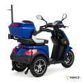DRACO BLUE 05.webp