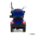 DRACO BLUE 06.webp