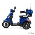 DRACO BLUE 08.webp