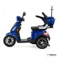 DRACO BLUE 08c.webp