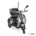 DRACO GRAY 10.webp