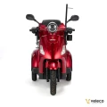 DRACO RED 02.webp