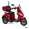 DRACO RED 03.webp