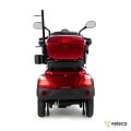 DRACO RED 06.webp