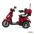 DRACO RED 08.webp