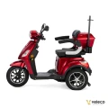 DRACO RED 08a.webp