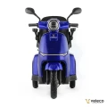 TURRIS BLUE 02.webp