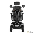 JUMPY BLACK 02 b.webp