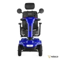 JUMPY BLUE 02 b.webp