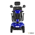 JUMPY BLUE 02.webp