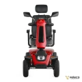 SHARPY RED 02.webp