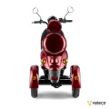 ZT63 RED 06.webp