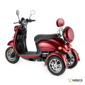 ZT63 RED 07.webp