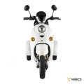 ZT63 WHITE 02.webp