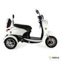 ZT63 WHITE 04.webp